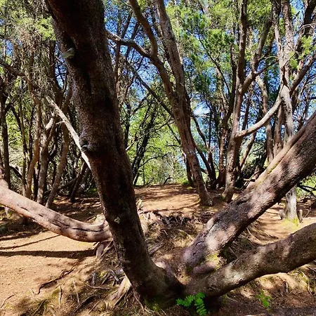 Bellahuset 1914 - Sentrum *