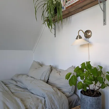 Dom wakacyjny Charming House In