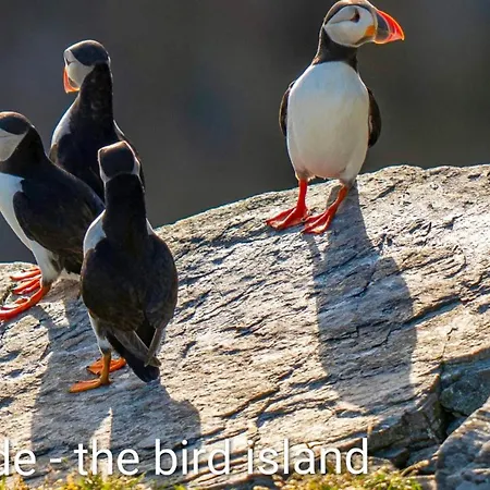 Bellahuset - Charming House In Tatil Evi