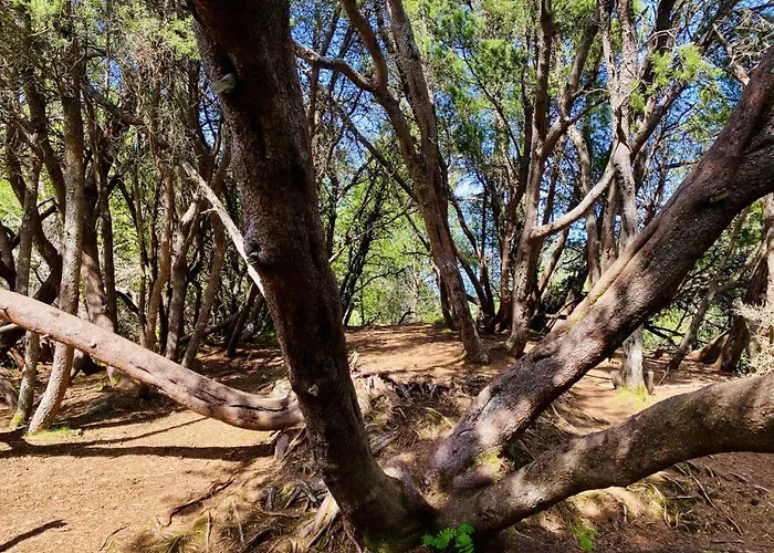 Bellahuset - Charming House In *