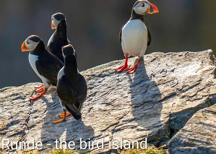 Bellahuset - Charming House In Tatil Evi